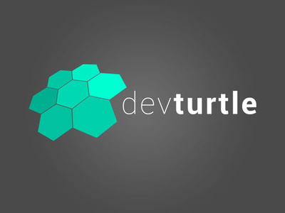 Dev Turtle brand branding design emblem identity illustration lettering logo minimal type typography web website
