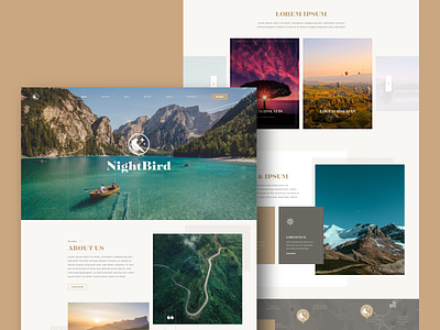 Night Bird design mockup design ui ux web design web design and development web development company wordpress