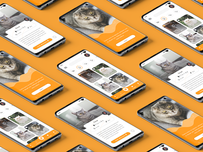 UI Design For Catty Mobile Application adobe xd andriod app creative ios ui ui design ux