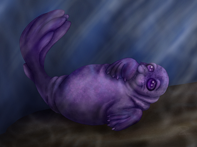 Purple Inky Weddell Seal adobe adobe photoshop animal animals illustration photoshop purple sea life seal seals weddell seal