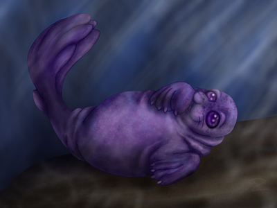 Purple Inky Weddell Seal