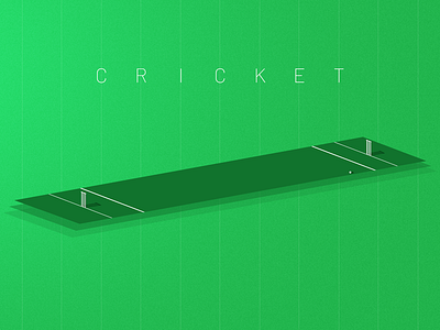 Cricket Pitch