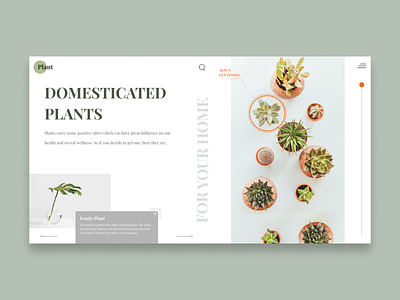 Website Concept for Plant Lovers