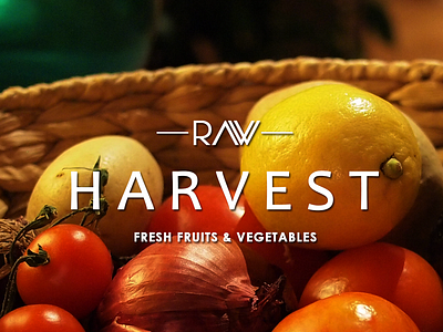 Raw Harvest branding creative design logo design branding marketing marketing agency