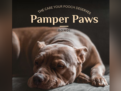 Pamper Paws by Bondi Designed by Workdig