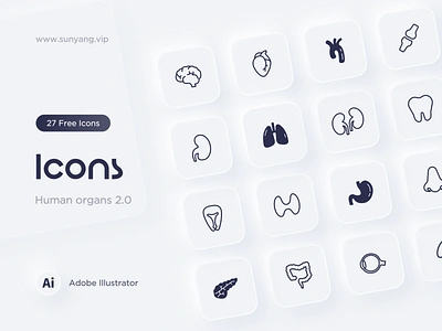 Human organs 2.0 human organs 2.0 ui 图标 设计