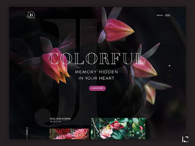 Colorful Website beautiful dark design flowers photo shop typography ui web website