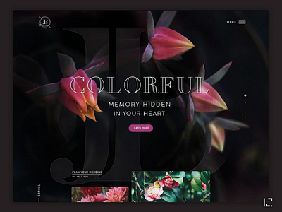 Colorful Website