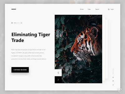 Tiger page design graphic design landing light minimal tiger ui uidesign ux uxdesign web webdesign