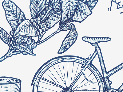 Fausto Coffee - Riso print bicycle coffee coffeeplant crosshatch hatch hatching illustration old illustration roasters scratch board