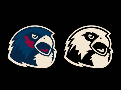 Falcon School Mascot Logo athletics bird character custom design falcon feather illustration logo mascot school sport wings