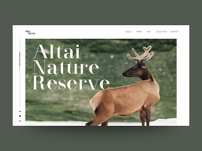 Design of the Nature Reserve Site animals deer forest homepage nature nature photography uidesign uxdesign website design wildlife