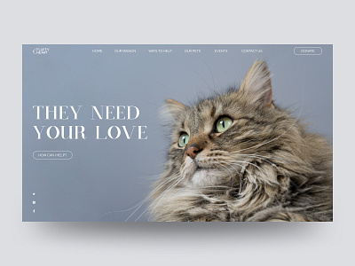 Animal Shelter adopt animal shelter animals homepage pets uidesign uxdesign website design