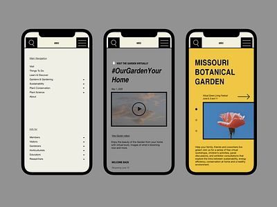 Missouri Botanical Garden Redesign botanic botanical garden homepage mobile mobile design redesign uidesign website design