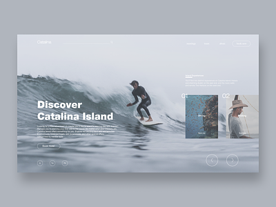 Catalina Island Redesign booking diving fishing homepage mobile design redesign surfing tourism tours ui design uiux uxdesign website design