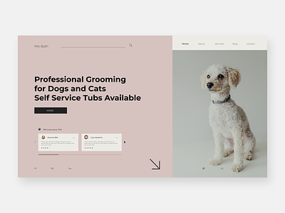 Pet Bath Redesign dogs groomer homepage mobile design mobile ui pets redesign ui design ux design website design