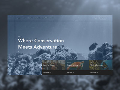 Project Aware Redesign ecology homepage ocean redesign uidesign uxdesign webdesign website design