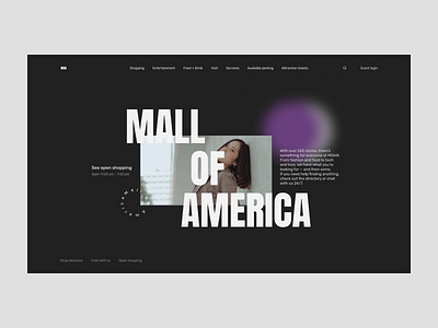 The Mall of America Redesign