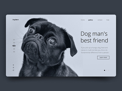 🐶 Friday Shots for Practice: Creative Exploration in Design animal animation design dogs illustration ui ui design uidesign ux uxdesign web development website design and development website development