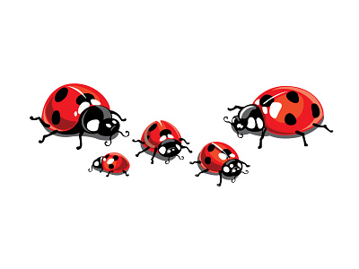 Ladybug