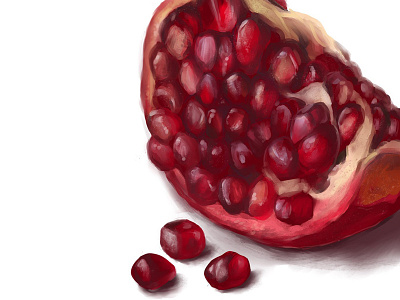 Garnet design digital painting food illustration illustration photoshop