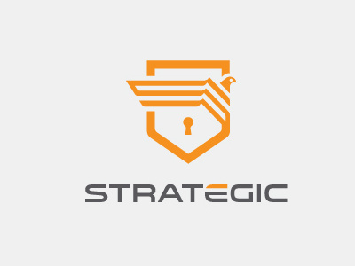 Strategic eagle eye lock safe security shield
