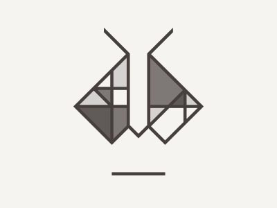 Personal Branding Update branding designer geometric grey logo moth personal