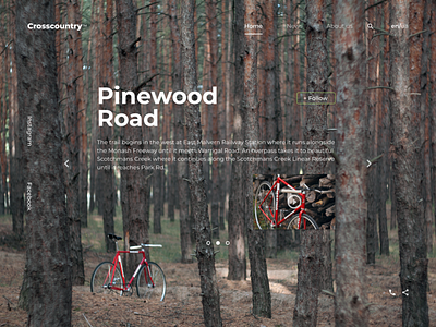 Crosscountry landing page design flat landing logo minimal typography ui ux web website