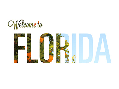 Florida florida minimal photography typography