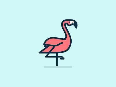 Flamingo bird flamingo illustration minimal