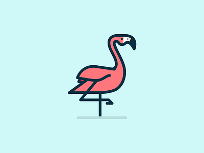 Flamingo