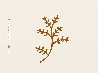 Simple Branches Illustration botanical illustration branches drawing illustration minimal art minimalist design minimalist illustration