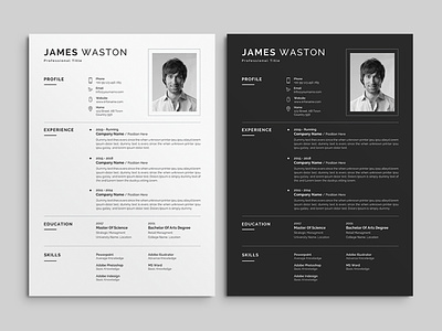 Professional Resume/CV