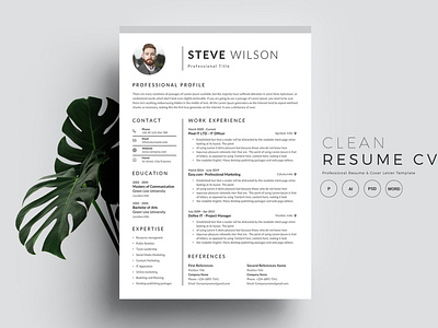 Resume/CV branding graphic design modern resume