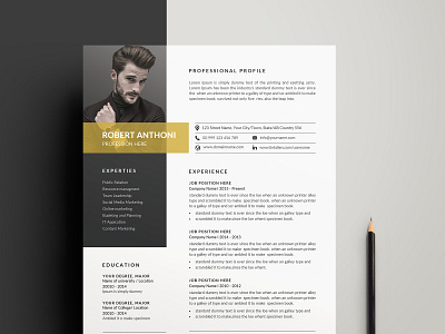 Clean Cv-Resume