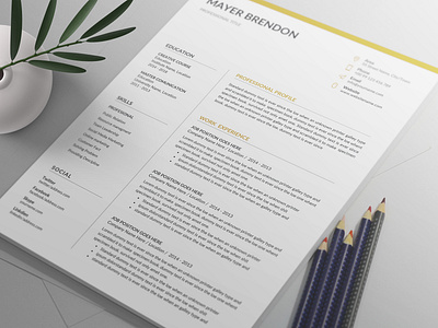 Word Resume/CV - 4 set