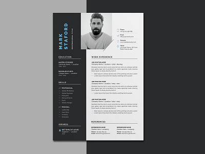 Resume/CV 2 page 3 page a4 clean cv design elegant elegant resume female female resume feminine infographic letter minimalist modern modern resume portfolio professional resume resume clean