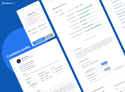 Triplebyte candidate profile assessment attributes b2b candidate card data design engineering performance profile profile card profile design recruiting request score software tags technical ui design web