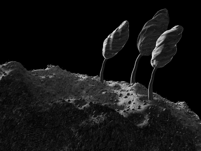 Trees on the moon animation black contrast dark hatching light moon scratching shadows sky space tree white