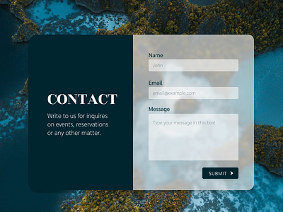 Contact Us contact contact form dailyui dailyui 028 form interface design ui uidesign user interface web