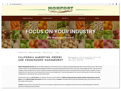 Website Design Monfort Management Services collages color copywriting photoshop webdesign website wordpress