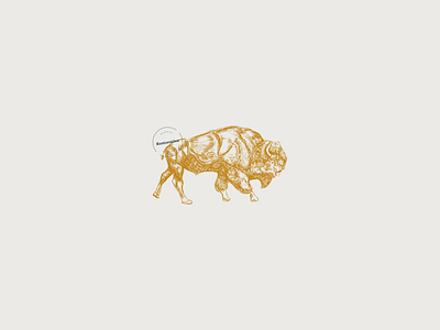 Brian the Bison bison branding buffalo design hand drawn illustration logo physiotherapy vector