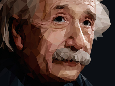 Albert Einstein illustration lowpoly portrait