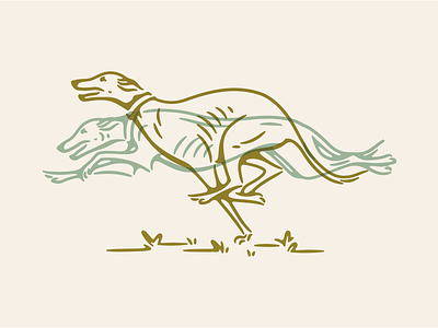 Greyhound Racer animal illustration character colorado colorado springs dog dog racing greyhound illustration overlay race race track