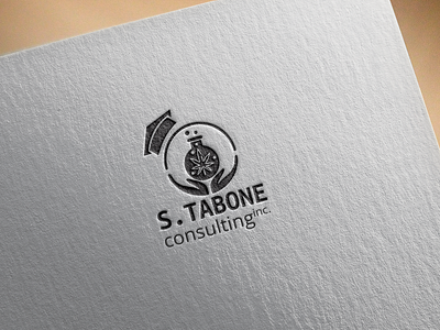 S. Tabone Consulting Inc Logo Design attractive atututide book cheerful creative cute depressed design graphic home icon illustration intelligent isolated lab logo masculine playful serious symbol