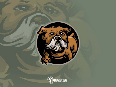 Bulldog mascot logo branding bulldog cartoon art cartoon character cartoon logo design dog dog house icon illustration logo vector