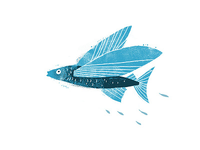 Flying Fish drawing fish flying grunge illustration texture