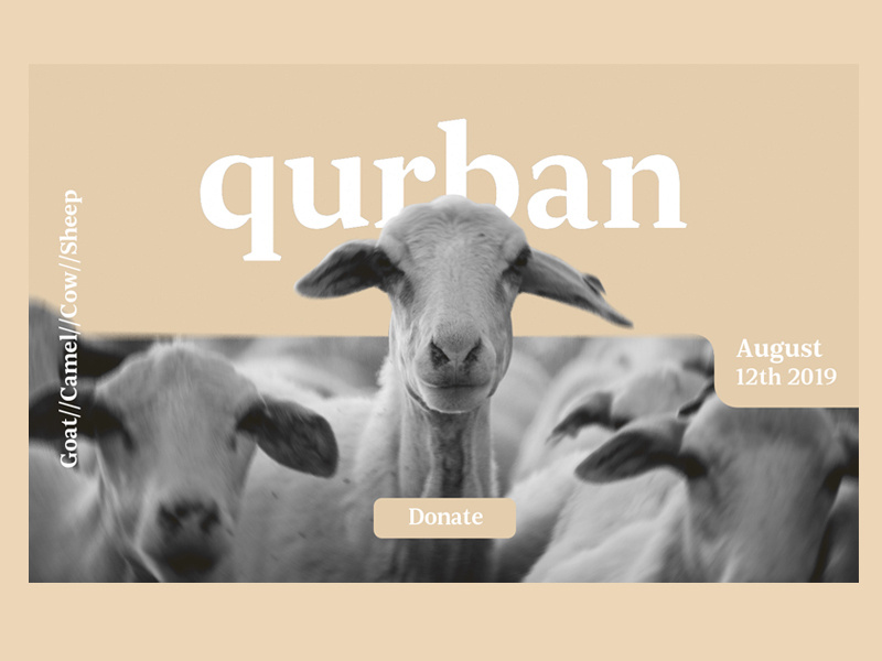 qurban web ui ios clean webdesign uidesign uxdesign web typography website ux uiux digital branding app flat design vector ui illustration