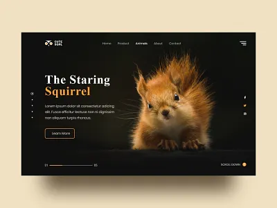 Squirrel web Exploration animal cat creative design dog header nature pet squirrel web design wild wild life