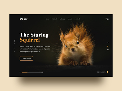 Squirrel web Exploration